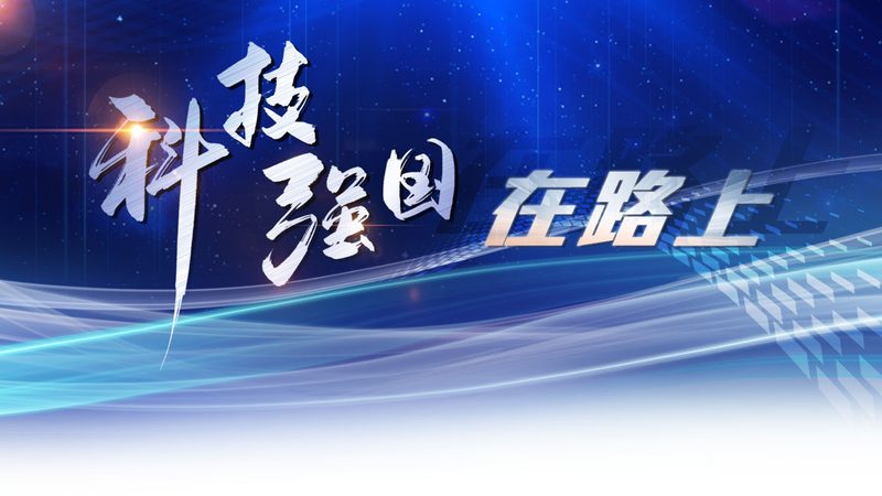数据治理生命周期管理流程：构建高效数据管理的基石**